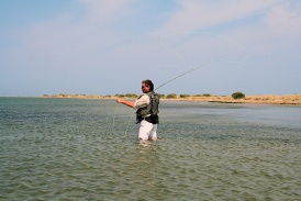 Fischen im Ebrodelta